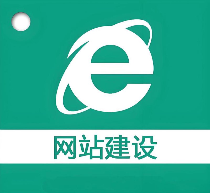 软件定制开发：企业数字化转型的新引擎